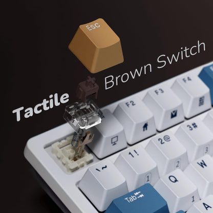 RK98 Wireless Mechanical Keyboard, 3750Mah, 96% Layout