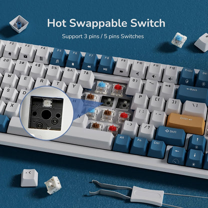 RK98 Wireless Mechanical Keyboard, 3750Mah, 96% Layout